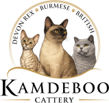 Kamdeboo-Logo
