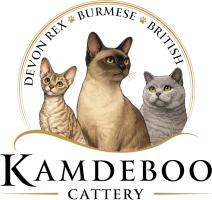 Kamdeboo-Logo
